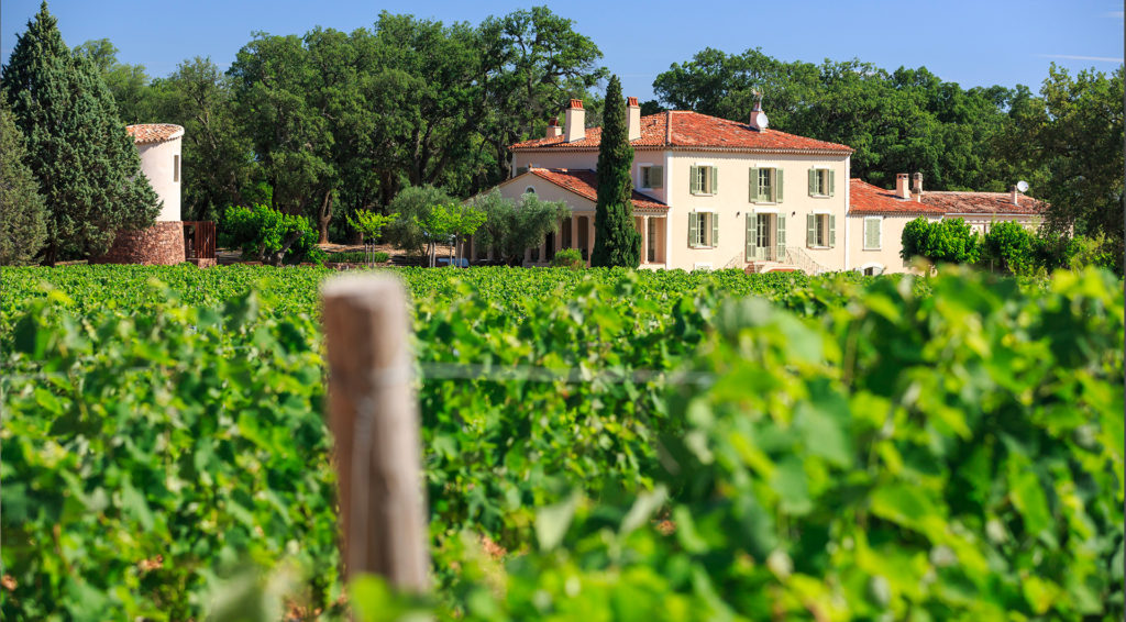 viticulture, château réal d'or, vin